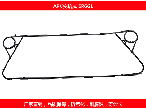 SR6GL 国产板式国产探花在线观看密封垫片