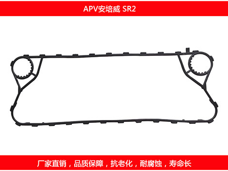 SR2 国产板式国产探花在线观看密封垫片