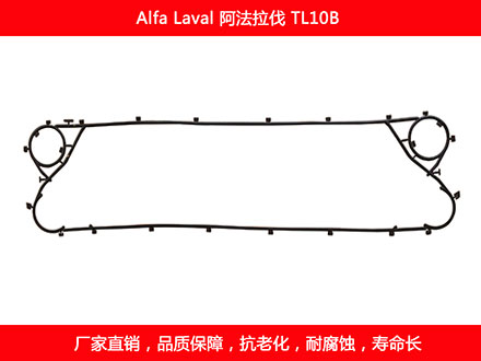 TL10B 国产板式国产探花在线观看密封垫片