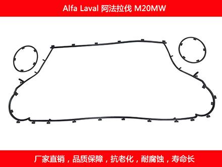 M20MW 国产板式国产探花在线观看密封垫片