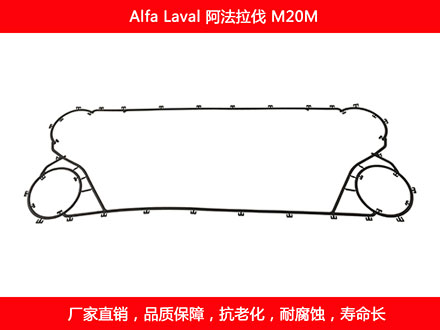 M20M 国产板式国产探花在线观看密封垫片